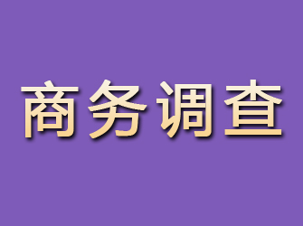 紫云商务调查